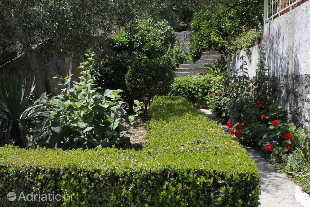 Giardino - Appartamenti accanto al mare Podgora, Macarsca - Makarska