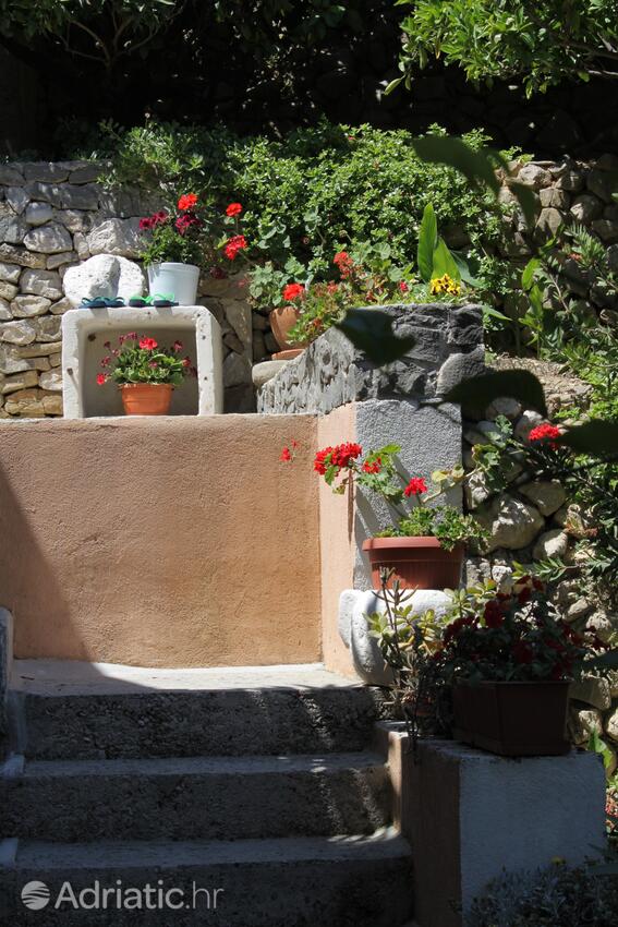 Giardino - Appartamenti accanto al mare Podgora, Macarsca - Makarska
