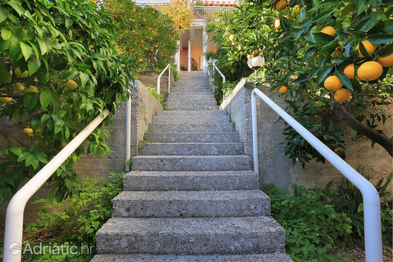 Giardino - Appartamenti accanto al mare Podgora, Macarsca - Makarska