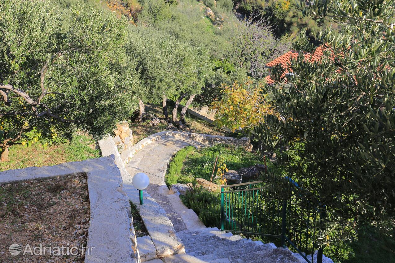 Giardino - Appartamenti accanto al mare Podgora, Macarsca - Makarska