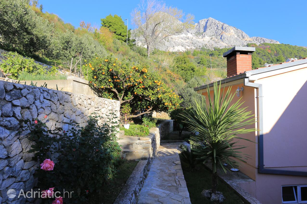 Giardino - Appartamenti accanto al mare Podgora, Macarsca - Makarska