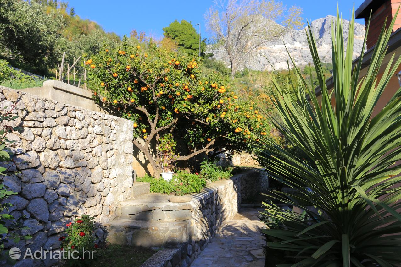 Giardino - Appartamenti accanto al mare Podgora, Macarsca - Makarska