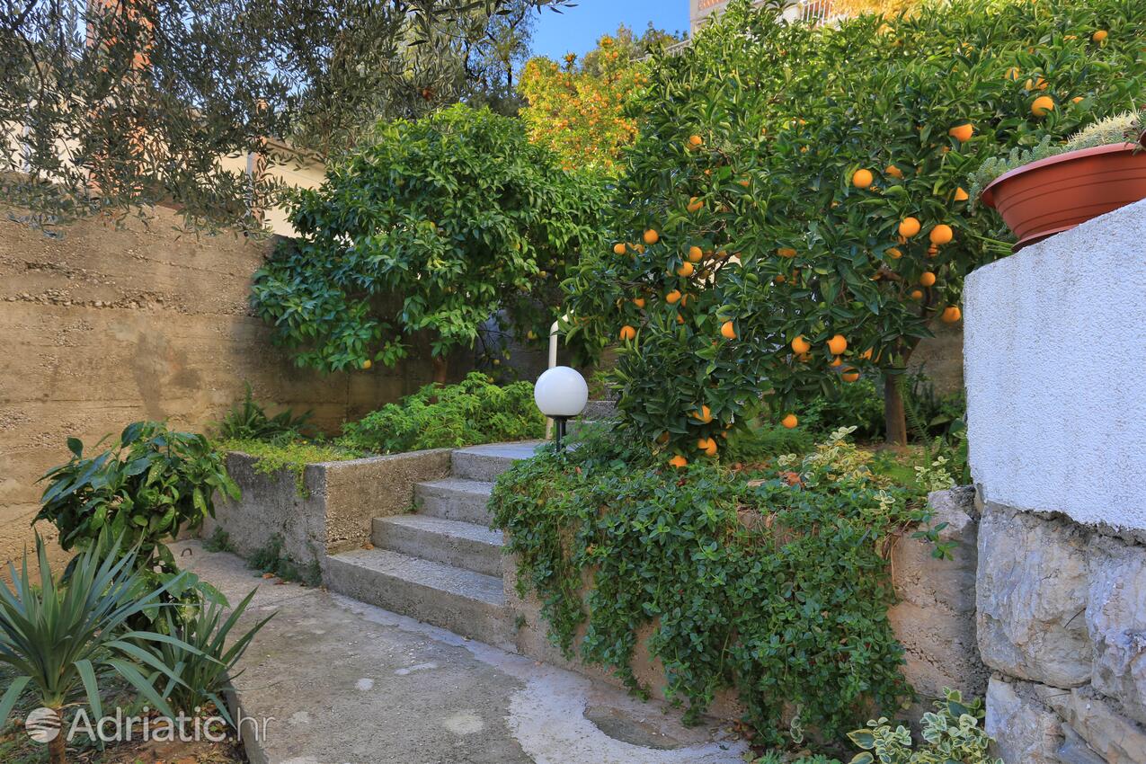 Giardino - Appartamenti accanto al mare Podgora, Macarsca - Makarska