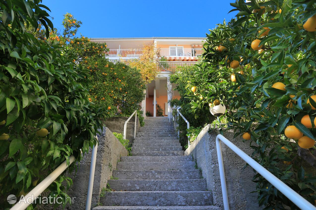 Alloggio - Appartamenti accanto al mare Podgora, Macarsca - Makarska