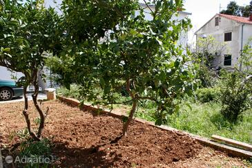 Apartmány u moře Baška Voda, Makarská - Makarska - 2608