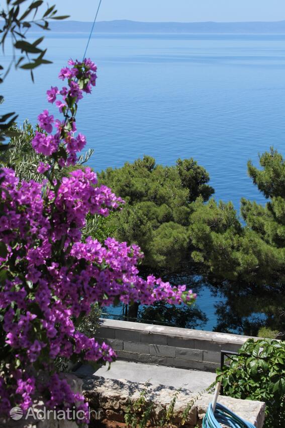 Apartamenty z parkingiem Bratus, Makarska - 2627