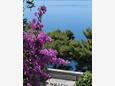 Apartmány s parkovištěm Bratuš, Makarská - Makarska - 2627