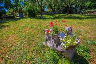 Appartamenti con Internet Parenzo - Poreč - 26358