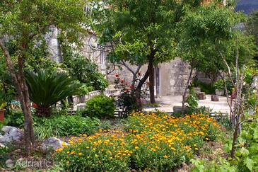 Apartmaji in sobe ob morju Slano, Dubrovnik - 2682