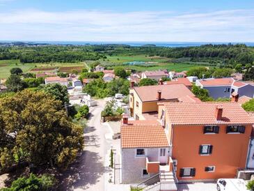 Appartements avec WiFi Mugeba, Porec - 26848 Adriatic.hr