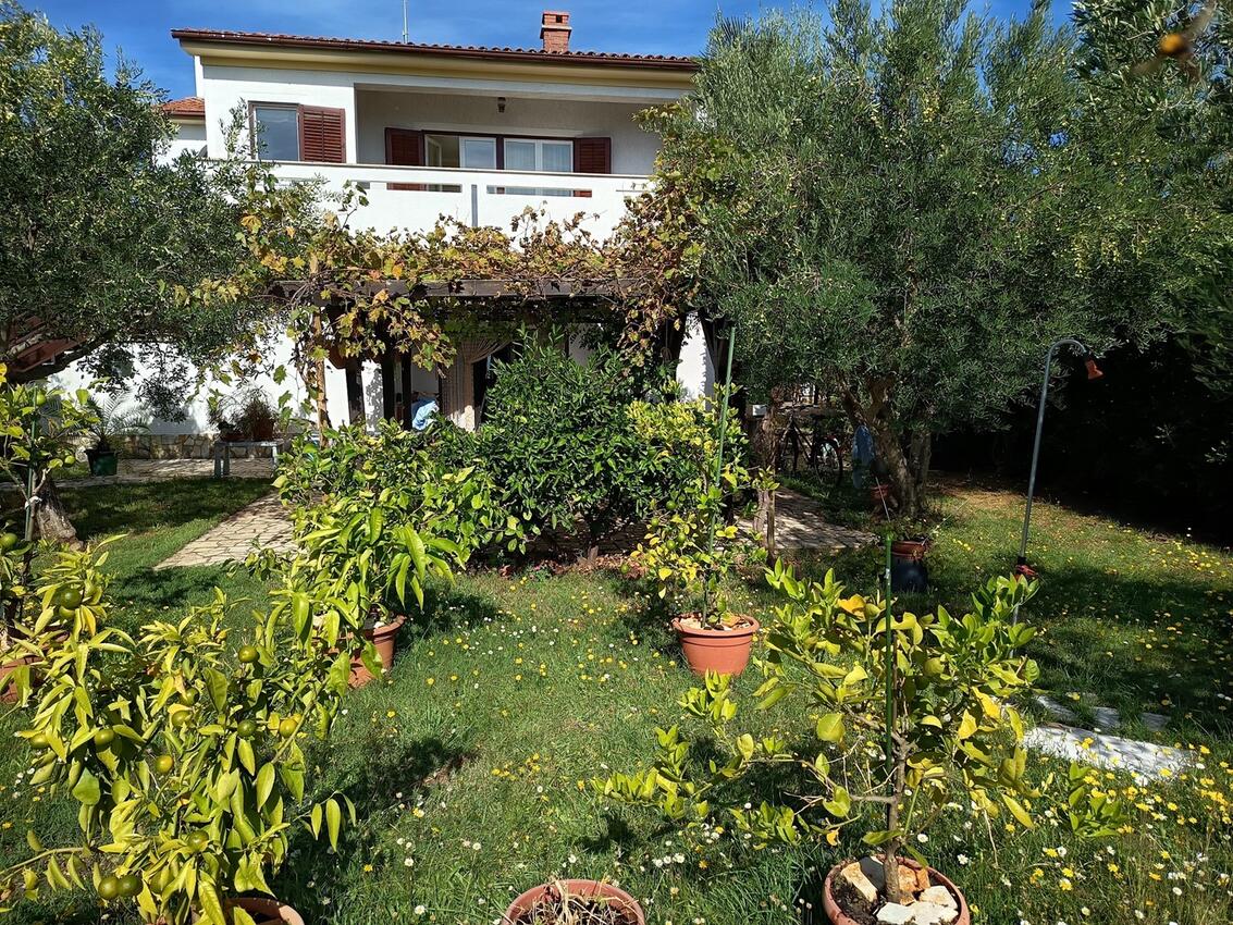 Apartments with parking space Kornić, Krk - 26884