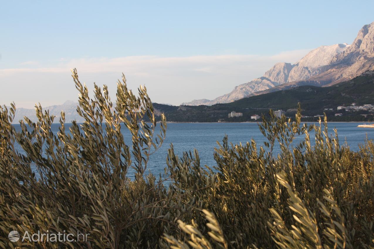 A-2694-a - Kwatery prywatne - Apartamenty nad morzem Tucepi, Makarska