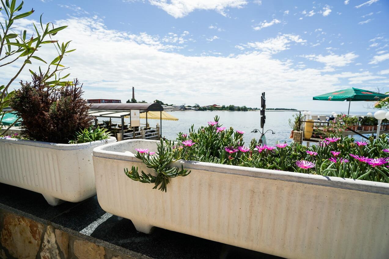 Apartmány s internetem Rožac, Umag - 27209