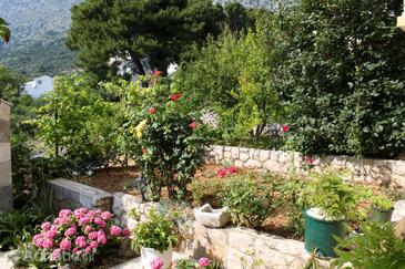 Apartments and rooms by the sea Živogošće - Porat, Makarska - 2733