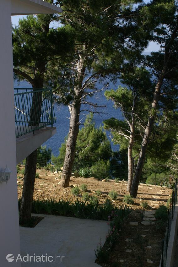 Courtyard - Apartments by the sea Marušići, Omiš