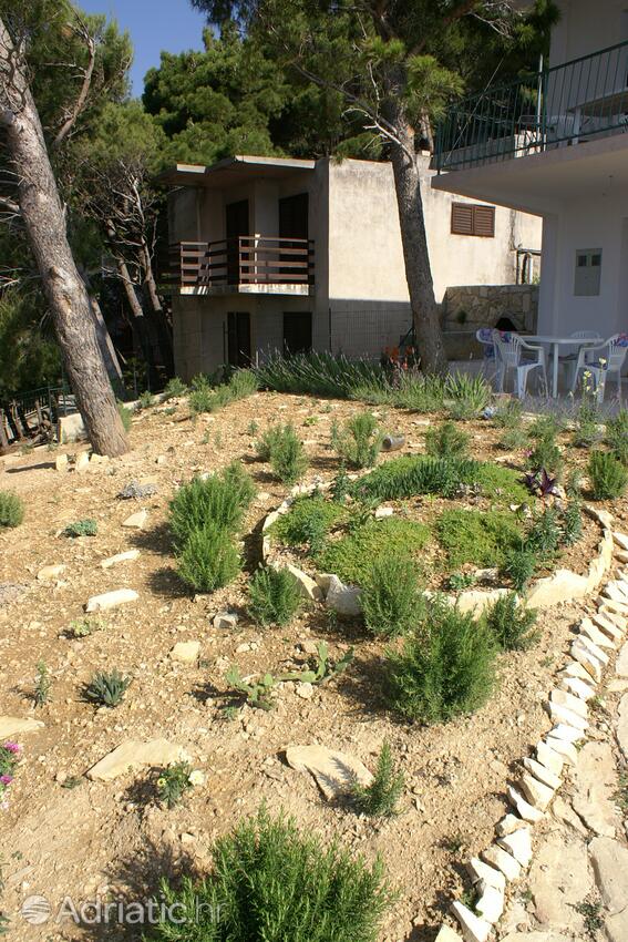 Courtyard - Apartments by the sea Marušići, Omiš