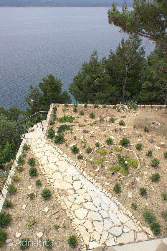 Courtyard - Apartments by the sea Marušići, Omiš