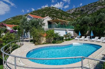 Familiehuis met zwembad aan zee Viganj, Peljesac - 27576