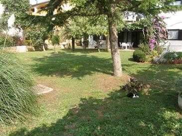 Apartamenty z internetem Medulin - 27687