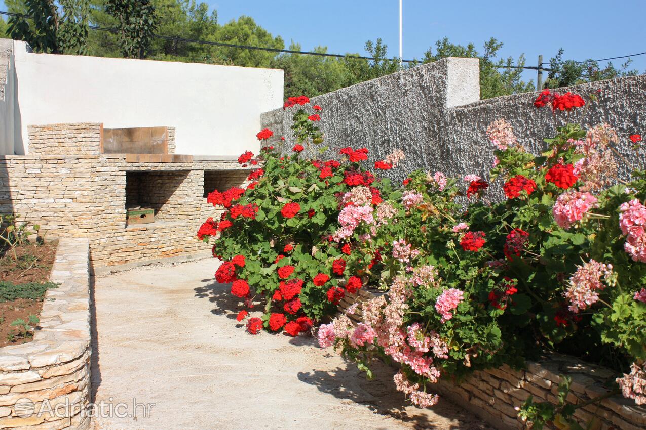 Apartments by the sea Sumartin, Brač - 2871