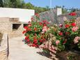 Apartments by the sea Sumartin, Brač - 2871