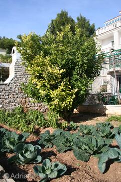 Lägenheter och rum med parkering Bol, Brac - 2873