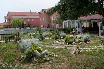 Camere con parcheggio privato Gajac, Pago - Pag - 3077