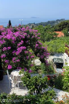 Апартаменты с парковкой Млини - Mlini, Дубровник - Dubrovnik - 3167