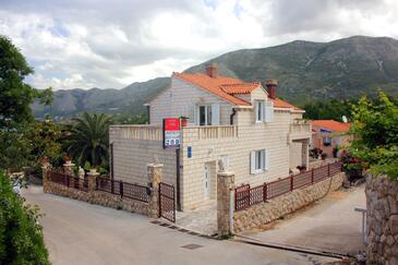 Apartments Cavtat, South Dalmatia