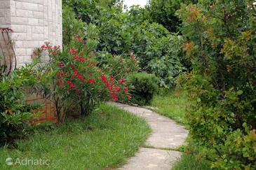 Apartmaji z internetom Jadranovo, Crikvenica - 3237