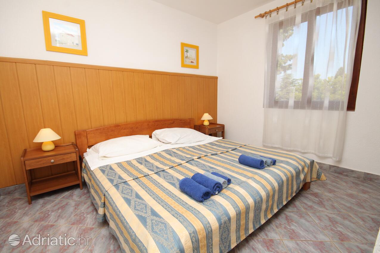 A-3339-a - Privatunterkunft - Ferienwohnungen am Meer Dajla, Novigrad