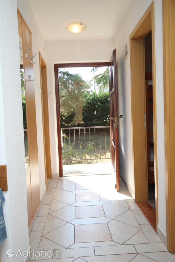 A-3339-a - Privatunterkunft - Ferienwohnungen am Meer Dajla, Novigrad