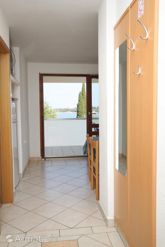 A-3339-a - Privatunterkunft - Ferienwohnungen am Meer Dajla, Novigrad