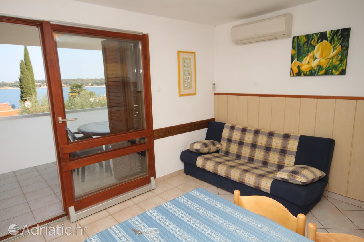 A-3339-a - Privatunterkunft - Ferienwohnungen am Meer Dajla, Novigrad