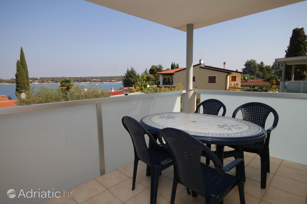A-3339-a - Privatunterkunft - Ferienwohnungen am Meer Dajla, Novigrad