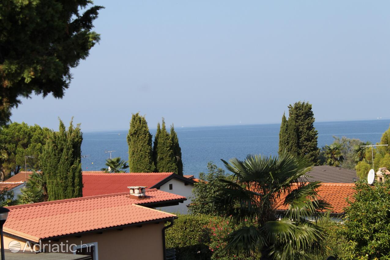 A-3339-a - Privatunterkunft - Ferienwohnungen am Meer Dajla, Novigrad