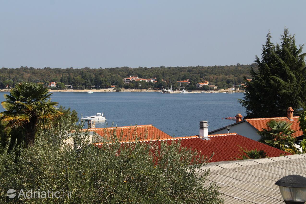 A-3339-a - Privatunterkunft - Ferienwohnungen am Meer Dajla, Novigrad