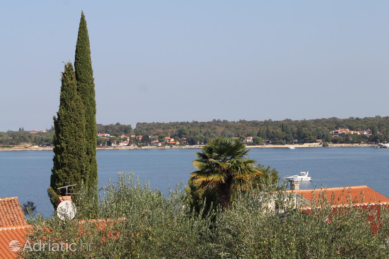A-3339-a - Privatunterkunft - Ferienwohnungen am Meer Dajla, Novigrad