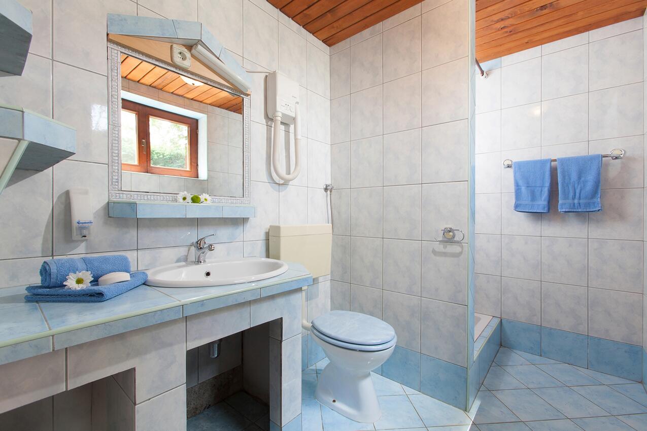A-3339-b - Privatunterkunft - Ferienwohnungen am Meer Dajla, Novigrad