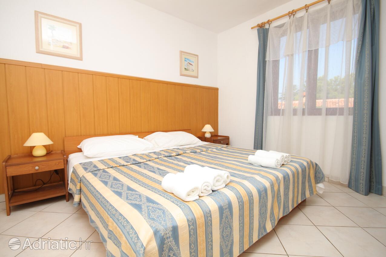 A-3339-b - Privatunterkunft - Ferienwohnungen am Meer Dajla, Novigrad