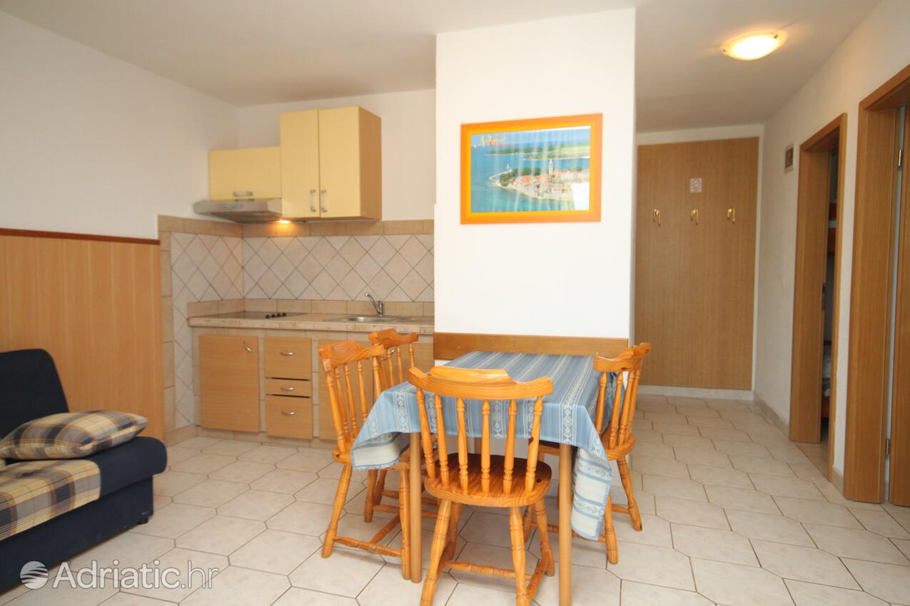 A-3339-b - Privatunterkunft - Ferienwohnungen am Meer Dajla, Novigrad