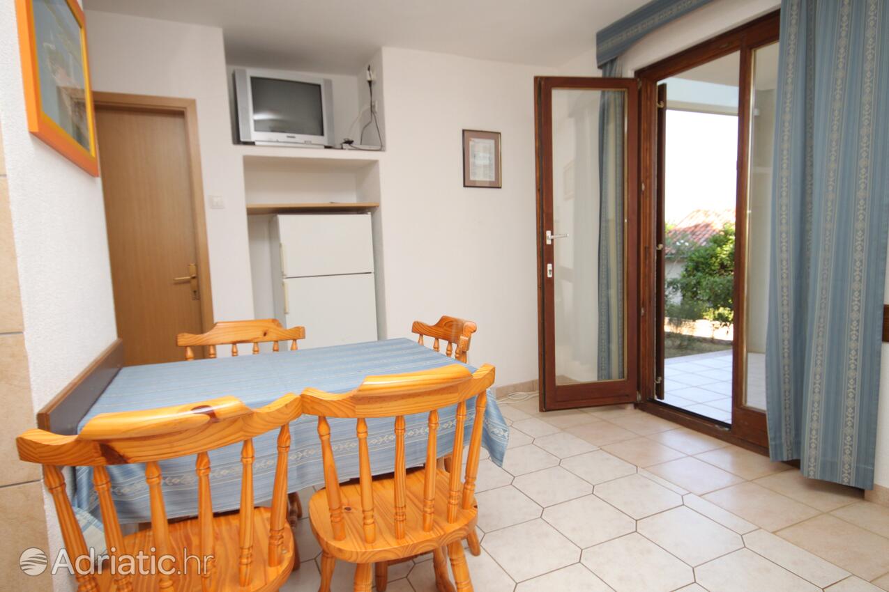 A-3339-b - Privatunterkunft - Ferienwohnungen am Meer Dajla, Novigrad