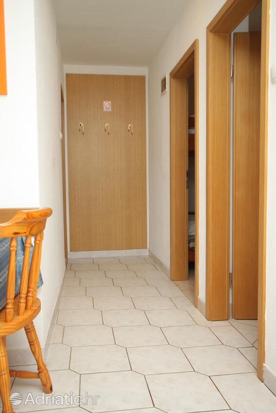 A-3339-b - Privatunterkunft - Ferienwohnungen am Meer Dajla, Novigrad