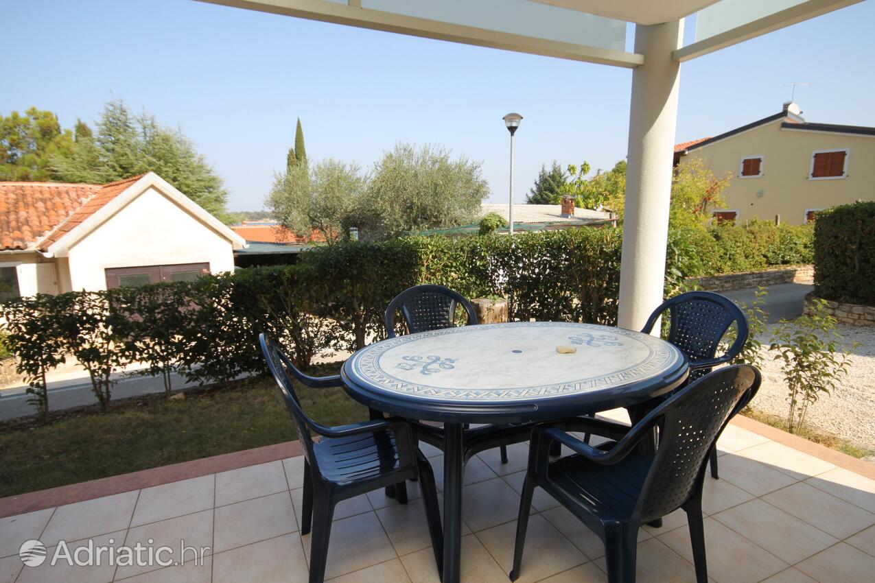 A-3339-b - Privatunterkunft - Ferienwohnungen am Meer Dajla, Novigrad