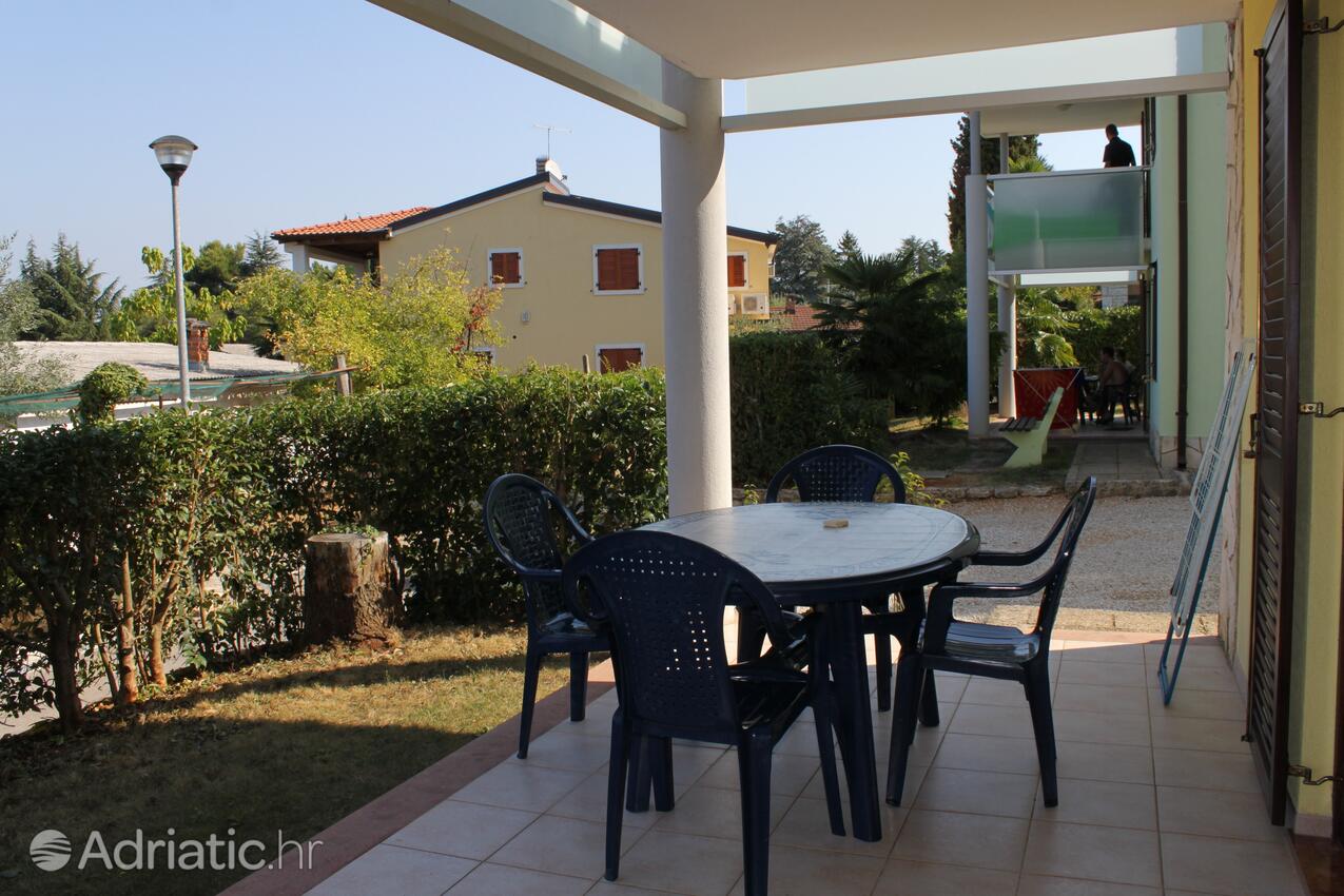 A-3339-b - Privatunterkunft - Ferienwohnungen am Meer Dajla, Novigrad
