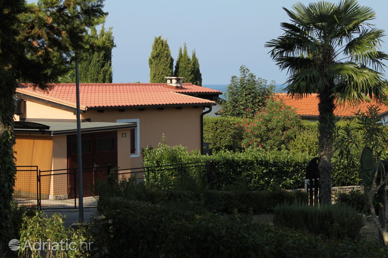 A-3339-b - Privatunterkunft - Ferienwohnungen am Meer Dajla, Novigrad