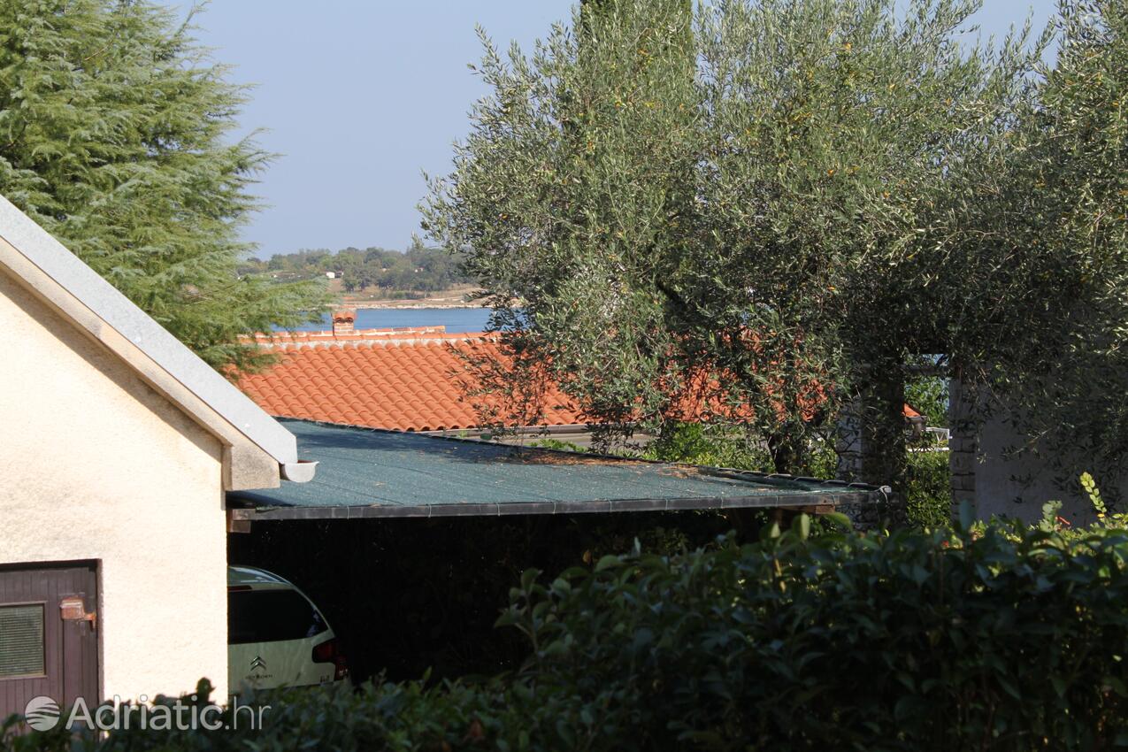 A-3339-b - Privatunterkunft - Ferienwohnungen am Meer Dajla, Novigrad