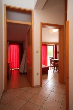 Apartments with terrace Novigrad, Istria