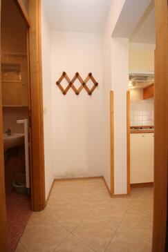 Apartments with terrace Novigrad, Istria