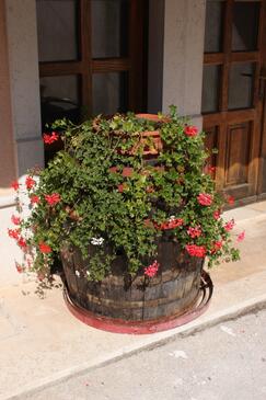 Apartments with terrace Novigrad, Istria